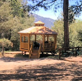 Log Octagon Gazebo Kit #16